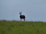 East-London-40.JPG